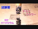 【99％ 100均の材料で作れる】試験管で理科系ハーバリウムの作り方！
