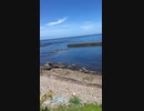しゅったんちゃんねるずの夏海