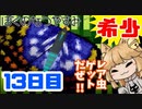 【13日目】女子大生の夏休み！ぼくのなつやすみ実況プレイ！【毎日投稿】