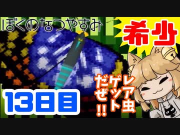 【13日目】女子大生の夏休み！ぼくのなつやすみ実況プレイ！【毎日投稿】