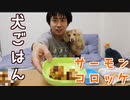 【犬ごはん】サーモンコロッケを料理してダックスフンドに食べさせてみた