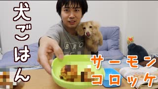 【犬ごはん】サーモンコロッケを料理してダックスフンドに食べさせてみた