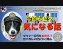 ボギーさんの気になるお話し　ボギー大佐の言いたい放題　2019年08月10日　21時頃　放送分