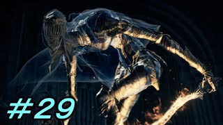 【ダークソウル３】熱い魂(ソウル)を燃やし尽くせ！！ #２９【夏休みの宿題】
