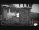 【Salt and Sanctuary】物理アンド重装備-06【ゆっくり】