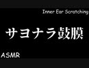 【ASMR】鼓膜が天国へ旅立つ指耳かきと耳ふー【音フェチ】