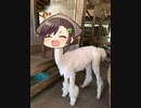 【三国志大戦】最強の忠誠デッキはなんだろう？32【覇者】