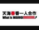 【天海春香一人合作】What is WAHHOI!!!!!!!!!!!!!?