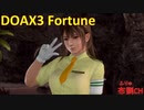 【DOAX3】みさきオーナー水着集