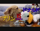 【じゃれあい】プリン VS ドナルド（実況：てぃかし　解説：スポンジボブ）(YouTubeで『ワンチュー犬』を検索！）