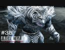 FFXII - The Zodiac Age 実況 #35