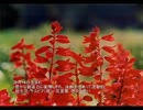 誕生日に贈る言葉～8月14日生まれの創造力豊かなあなたに－聴きものがたり
