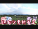 てけとーに ぼちぼちと 8km