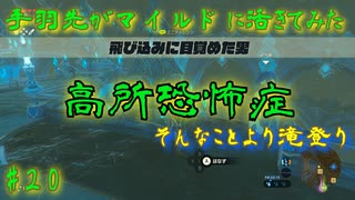 【実況】手羽先がマイルドに活きてみた【ゼルダの伝説ブレスオブザワイルド】Part20