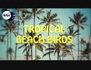Tropical Beach Birds