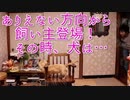 【ドッキリ】有り得ない方向から飼い主が現れたら犬はどうする？〜プリンの場合〜(YouTubeで『ワンチュー犬』を検索！)