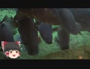 ゆっくりれいむのアクア放浪記　#49　虹の森公園おさかな館