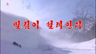 【北朝鮮歌謡】密林がざわめく（밀림이 설레인다）