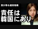 「日韓対立は韓国のせい」米国人学者が痛烈批判　国内しか見ていないムンジェイン大統領に忍び寄る通貨危機