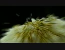 大丈夫？すりつぶされない？