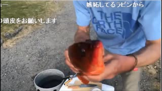 8.11  釣った魚調理する放送
