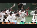 2019 巨人ファン限定動画(広島自力V消滅記念) 8月前半 ホームラン集+ファインプレー集