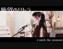 歌ってみた【catch the moment/LiSA】絶望のリトラSword Art Online