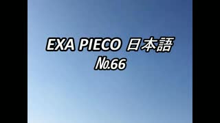 EXA PIECO66日本語