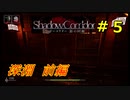【実況】影の回廊に迷い込んだわかじょん　＃５　深淵前編