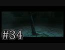 【ゼルダの伝説】あの日諦めたゼルダの伝説トワイライトプリンセス #34 【1人実況】