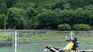 トリッカー×夏 2019