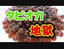 【最新SNS話題急上昇アプリ】大量のタピオカを楽しめるゲーム！無限タピオカ実況