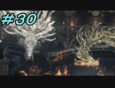 【ダークソウル３】熱い魂(ソウル)を燃やし尽くせ！！ #３０【夏休みの宿題】