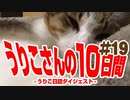うりこさんの10日間 - 2019#19