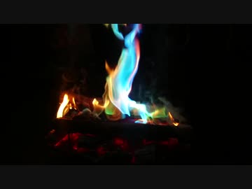 【ソロコラボキャンプ】生命の神秘！奇跡の光景！