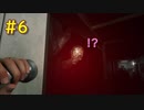【Home Sweet Home】#6今､､､完全に目合っただろ！！【PS4】