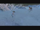 「Kenshi」武闘家への道