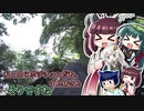 しらすさんからのお知らせ（第11.5回）しらすの放浪記