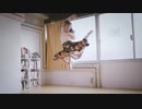 【生ゴミ屋さんひお】シャルル【踊ってみた】