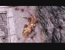 迫真スカイリム部　脱獄の裏技