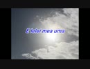 EVHA92Samoa