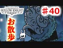 　【Hollow Knight】虫嫌いのホロウなナイト#40　