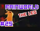 命がけのサバイバル！RainWorld実況するで#25【Switch/日本語版】