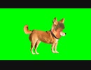 完全に犬と化したTDNGB.marisahataihennamonowonusundeikimashita