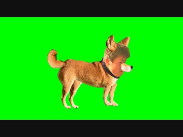 完全に犬と化したTDNGB.marisahataihennamonowonusundeikimashita