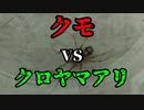 【ありの飼育記#25】蜘蛛vsクロヤマアリ　Ant　vs　Spider