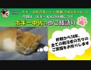 猫キャスだよ～　ボギー大佐の言いたい放題　2019年08月15日　21時頃　放送分