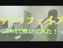 ibukiが【サクリファイス／まふまふ様】EWIで吹いてみた！