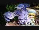 ROプレイヤーがソロキャンプに行ってきた⑪　めいほうキャンプ場