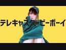 【しーちゃん】テレキャスタービーボーイ【踊ってみた】